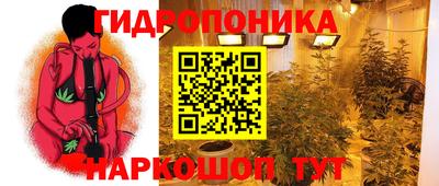 скорость Тара