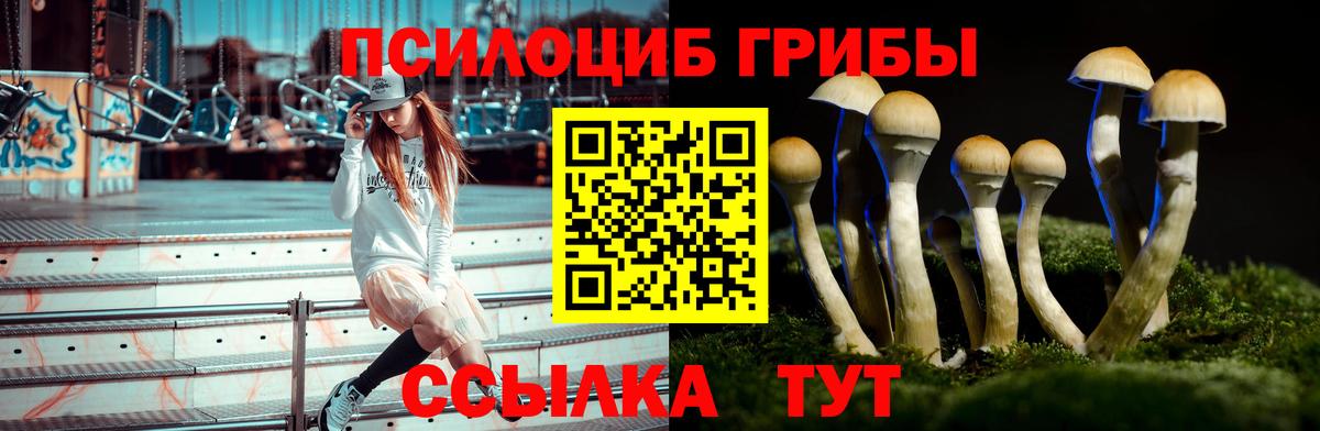 Галлюциногенные грибы Psilocybine cubensis Партизанск